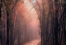 乐鱼体育:天赋力压塔图姆,被称为“十年难遇的天才”,如今却流落到CBA.