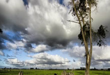 俱乐部国家队0出场，却赚到3600万：国足归化史上“第一大坑”非他莫属.