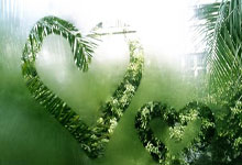 回顾本赛季 曾尖表现自打80分.