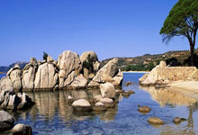 乐鱼体育：[NBA]佩顿击地妙传 巴特勒跟进双手暴扣.